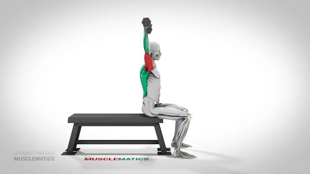 Seated Dumbbell Presses - (View 1)