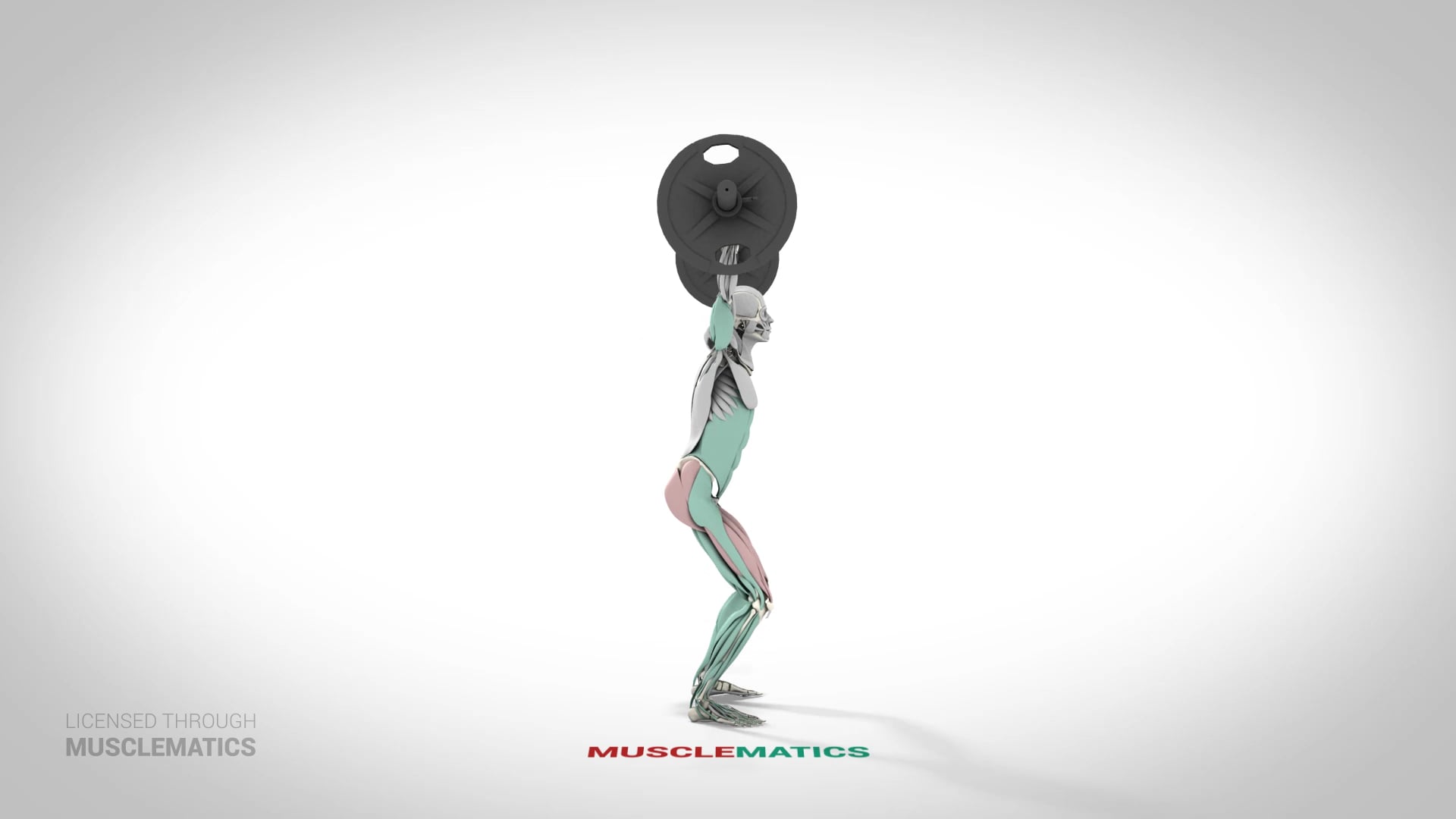 Overhead Squat - (View 2)