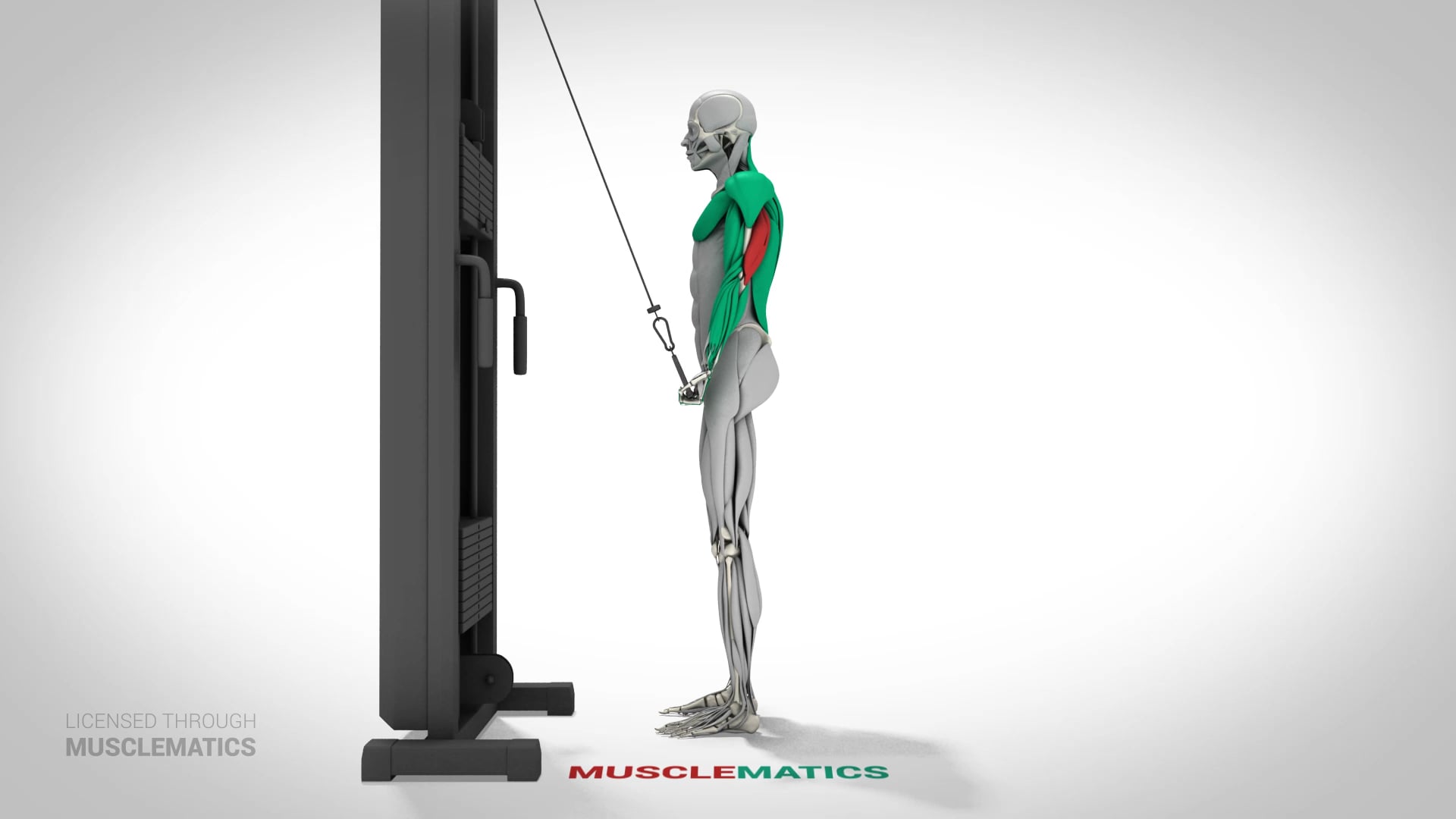 One-Arm Reverse Push-Downs - (View 1) - LEFT