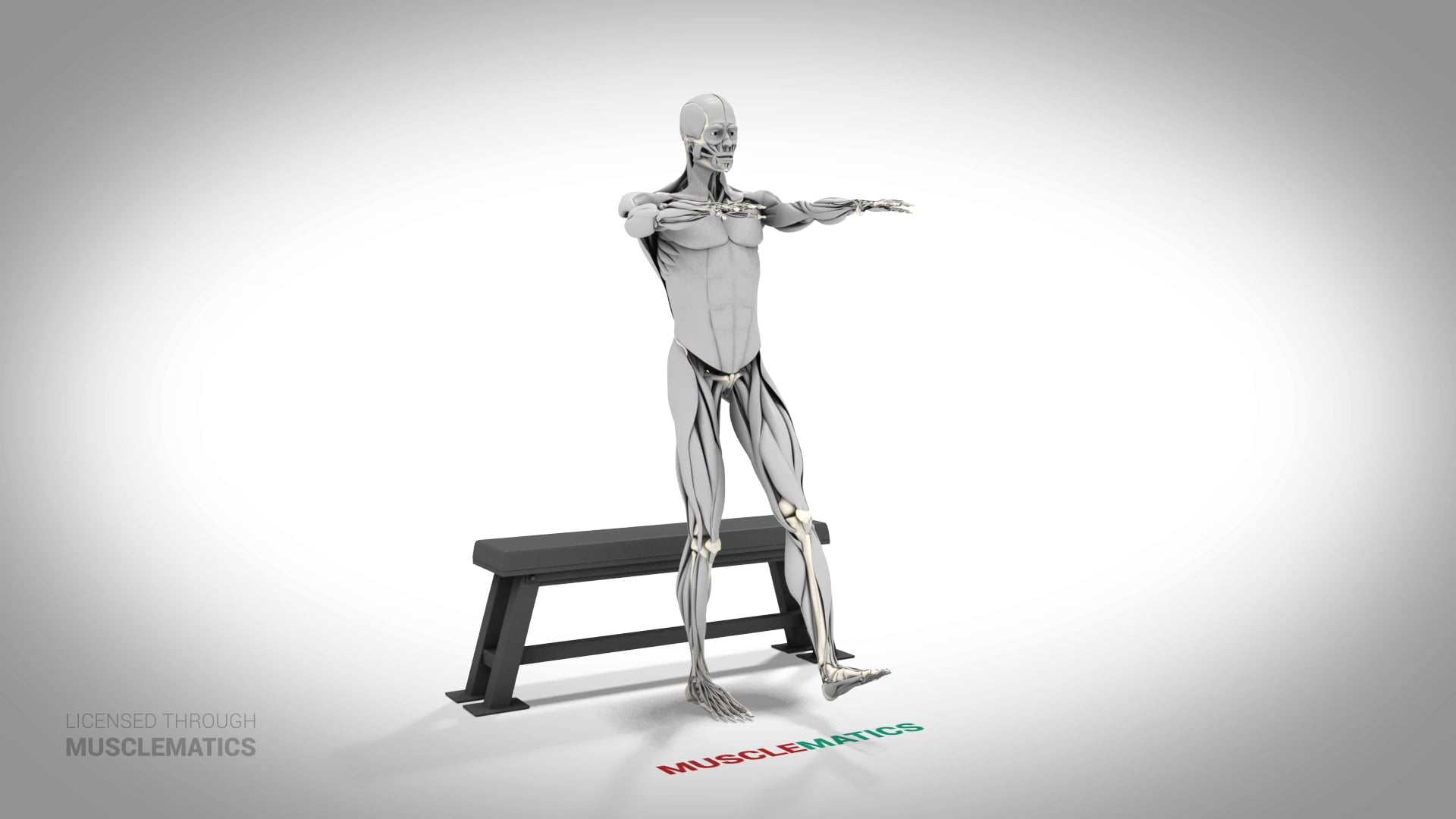 Single-Leg Box Squat - (All Views)