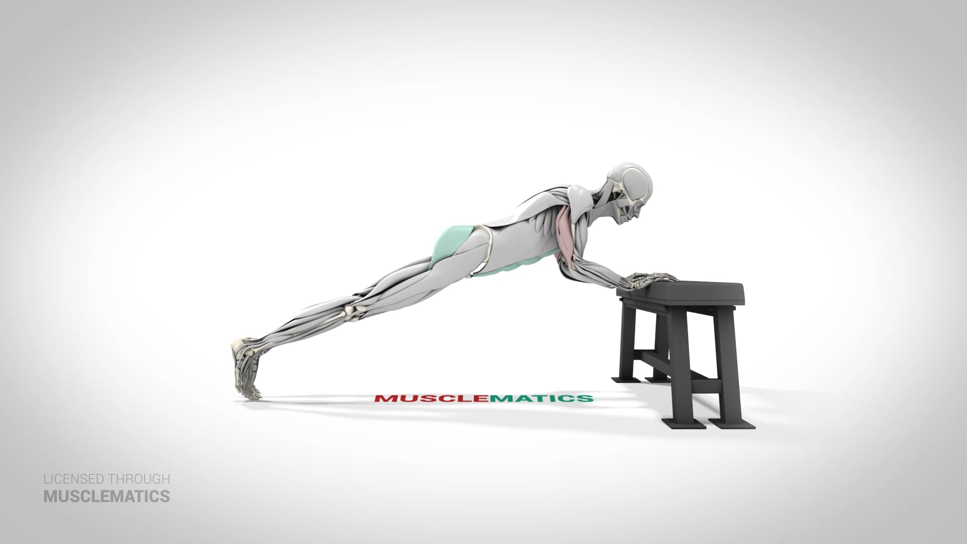 Bodyweight Triceps Extension - (View 1)