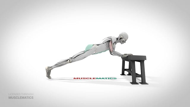 Bodyweight Triceps Extension - (View 1)