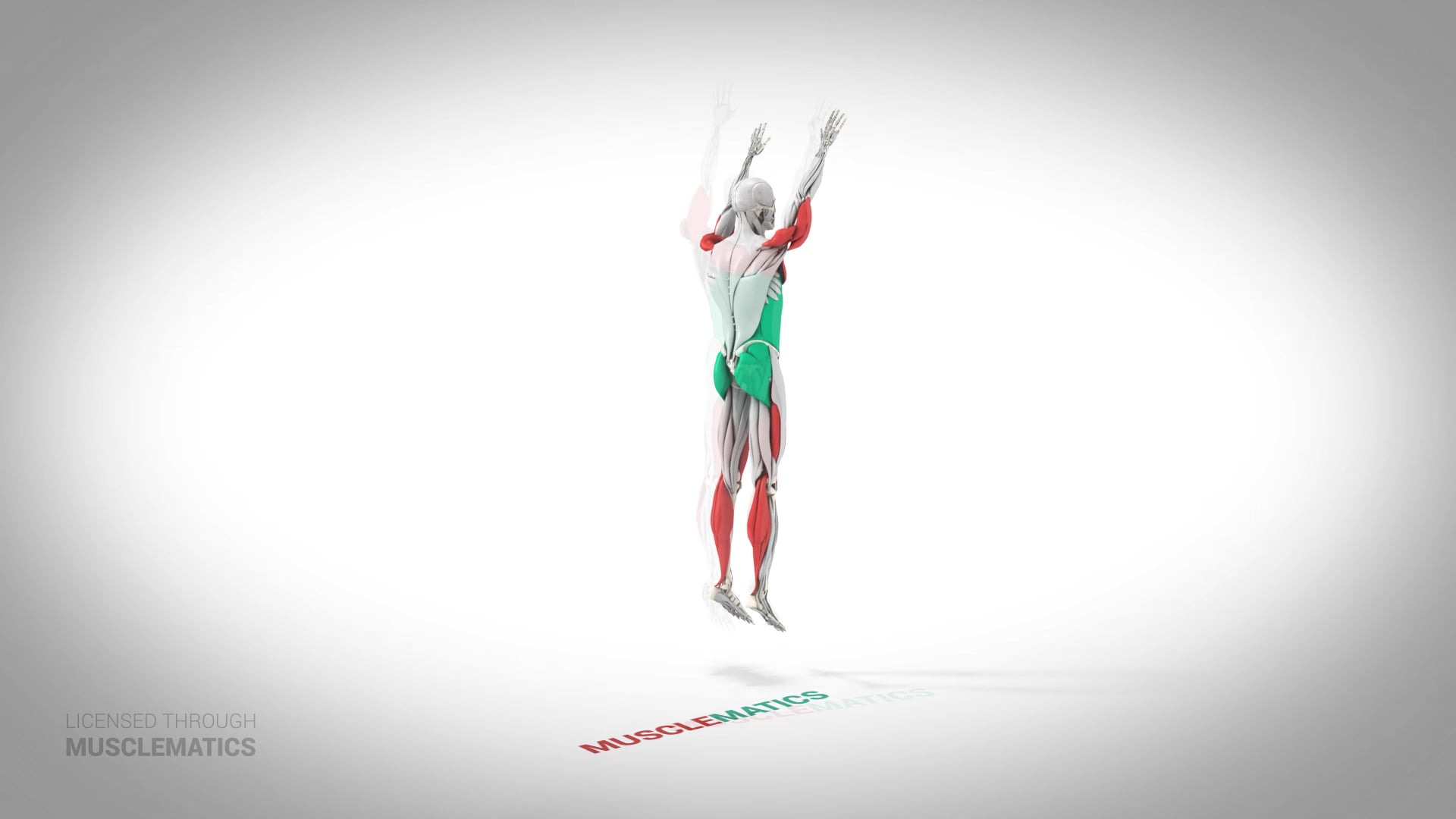 Advanced Burpees - (All Views)