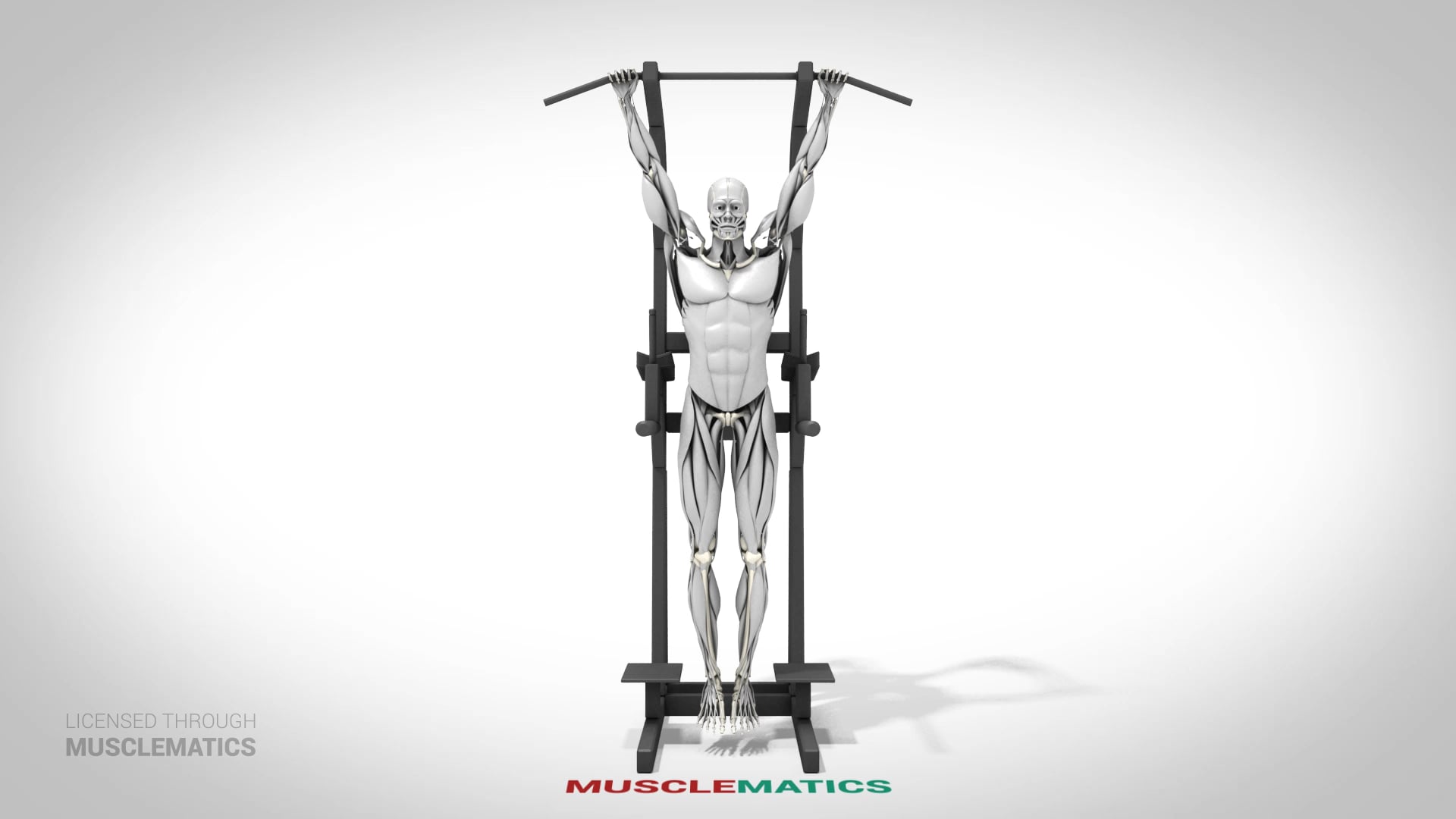 Hanging Leg Raises (Bent Leg) - (View 3)