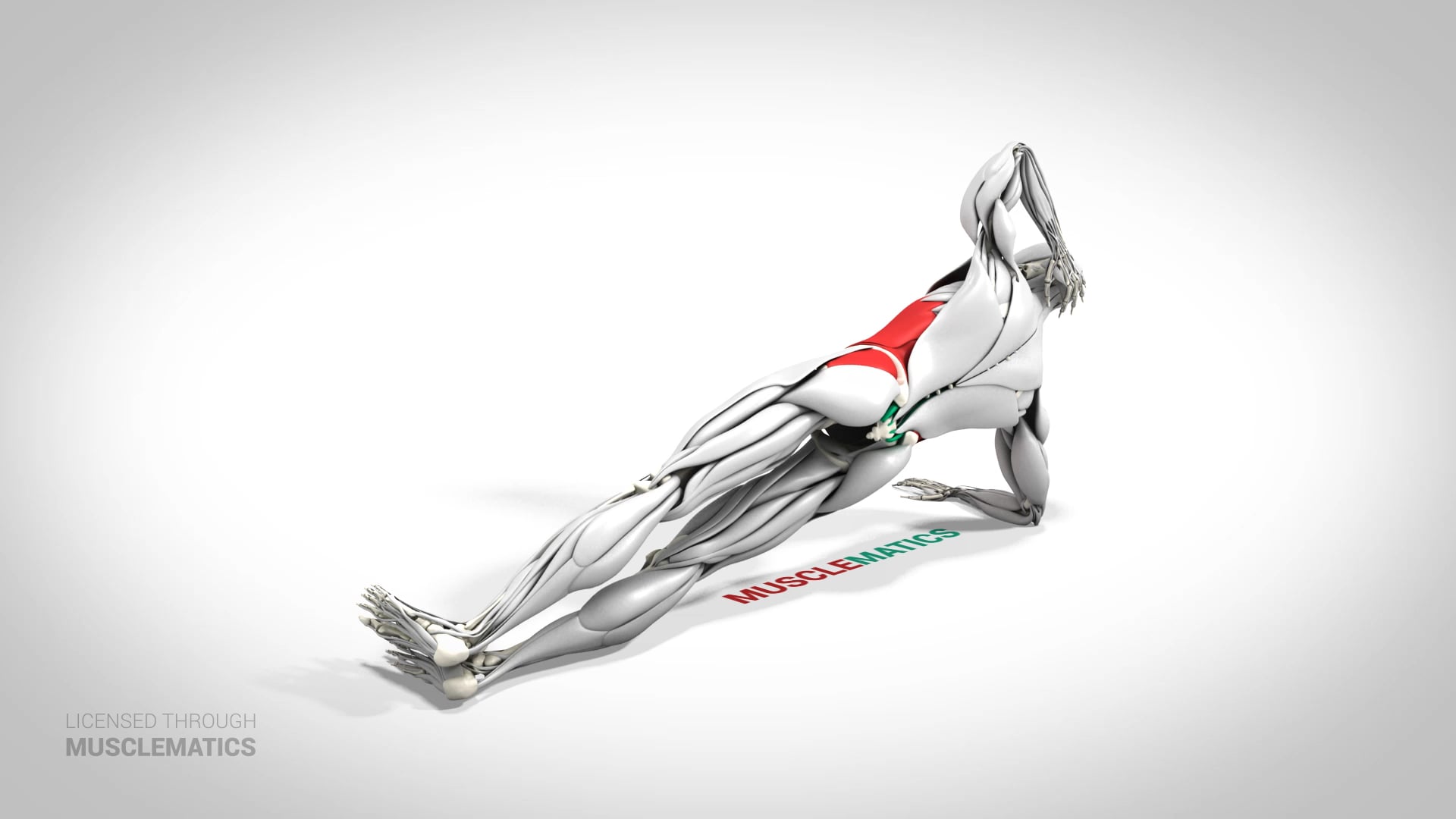 Side Plank - (View 3) - LEFT