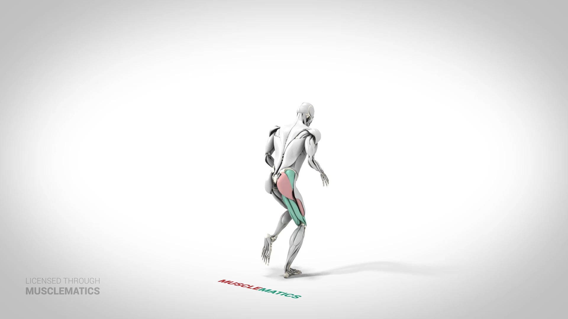 Jumping Skater Squat - (View 3)