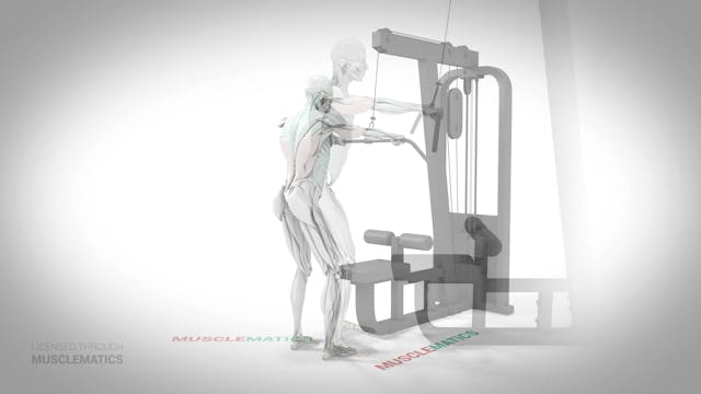 Straight-Arm Lat Pull-Downs - (All Vi...