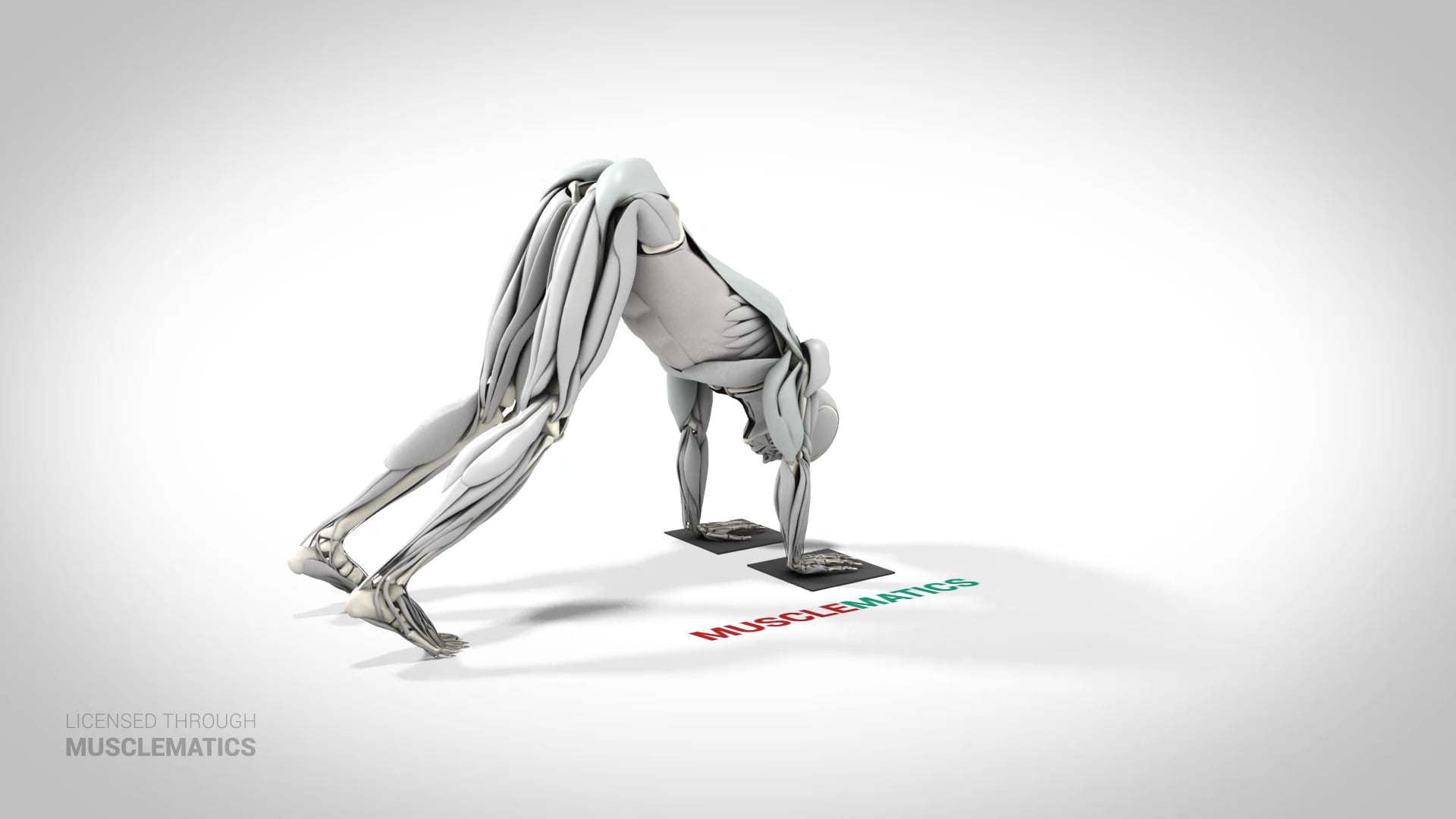 Standing Rollout - (View 3)