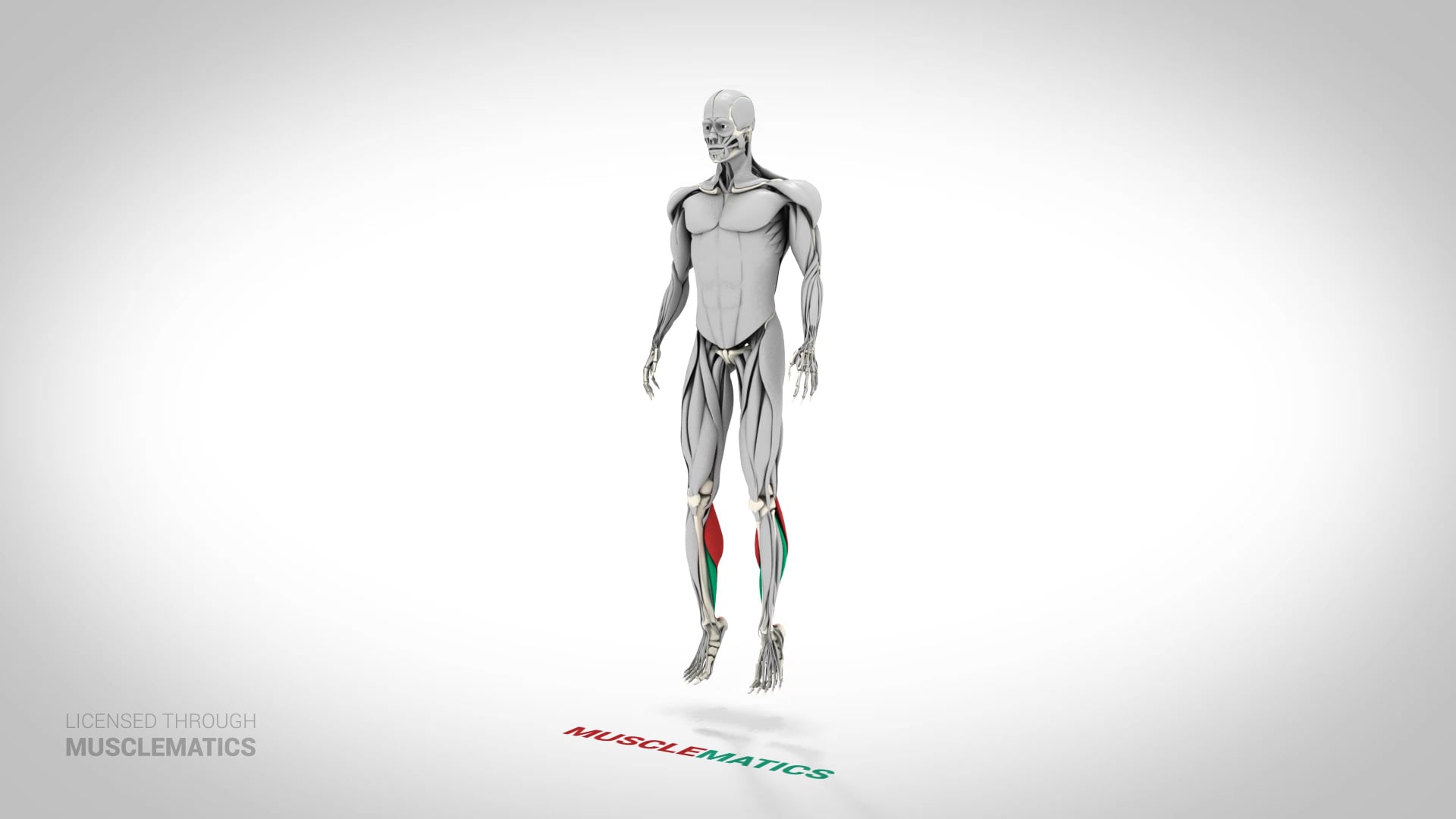 Stiff-Leg Ankle Hop - (View 1) - LEFT