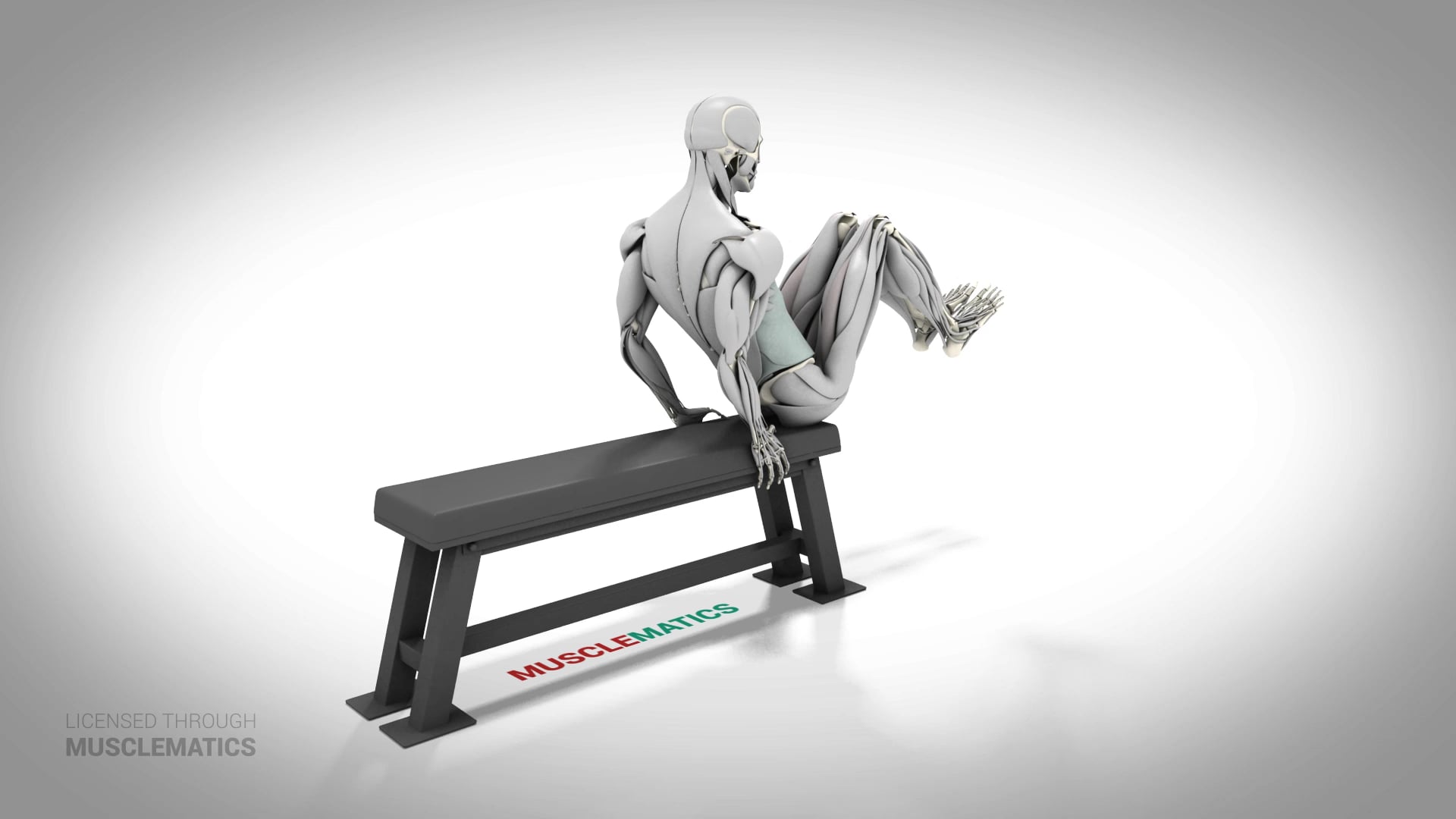 Seated Knee-Up - (All Views)