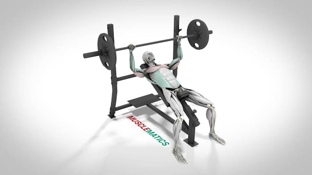 Incline Presses - (All Views)