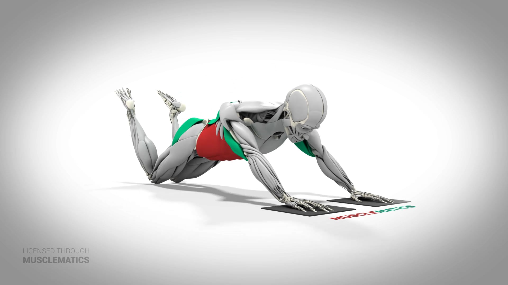 Sliding Rollout On Knees - (All Views)