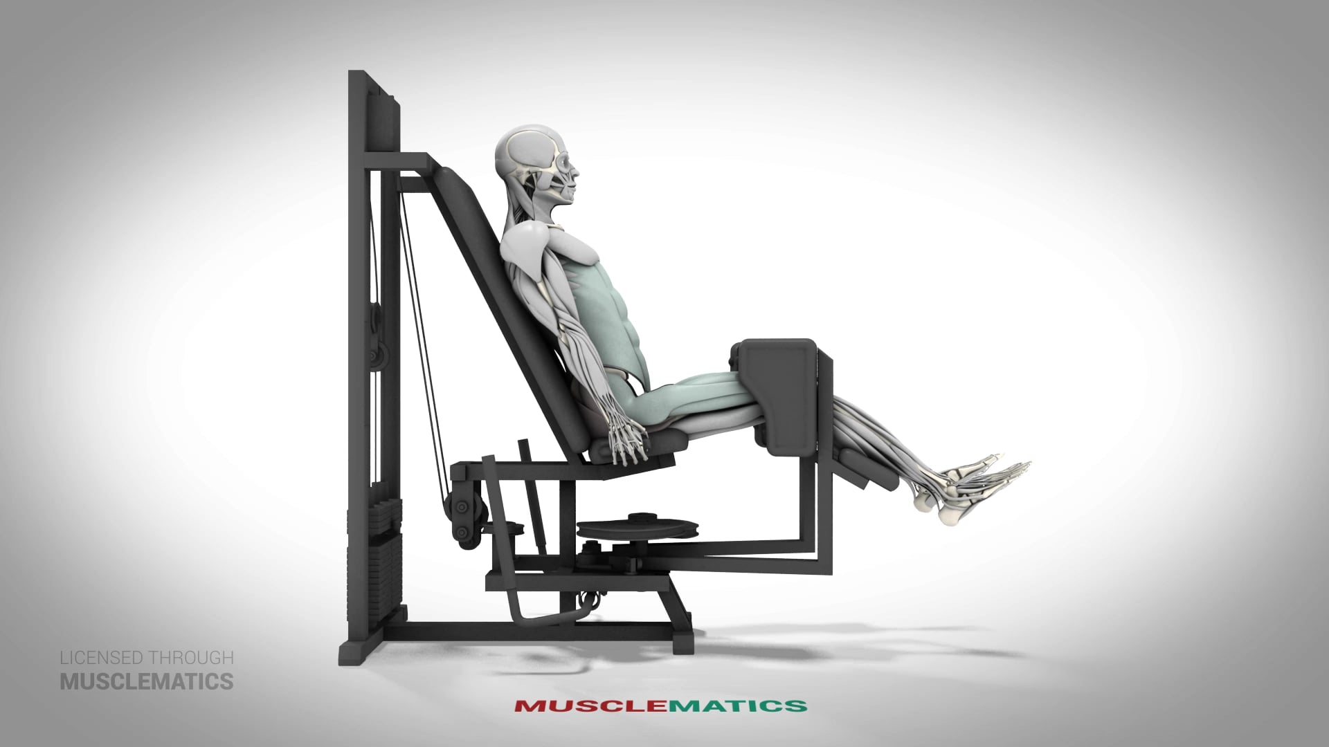 Seated Machine Hip Abductions - (All Views)