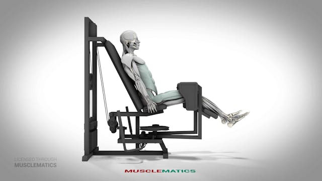 Seated Machine Hip Abductions - (All ...