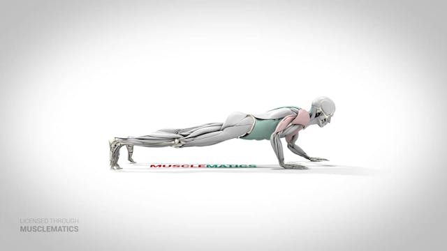 Self-Assisted One-Arm Push-Up - (View 2)