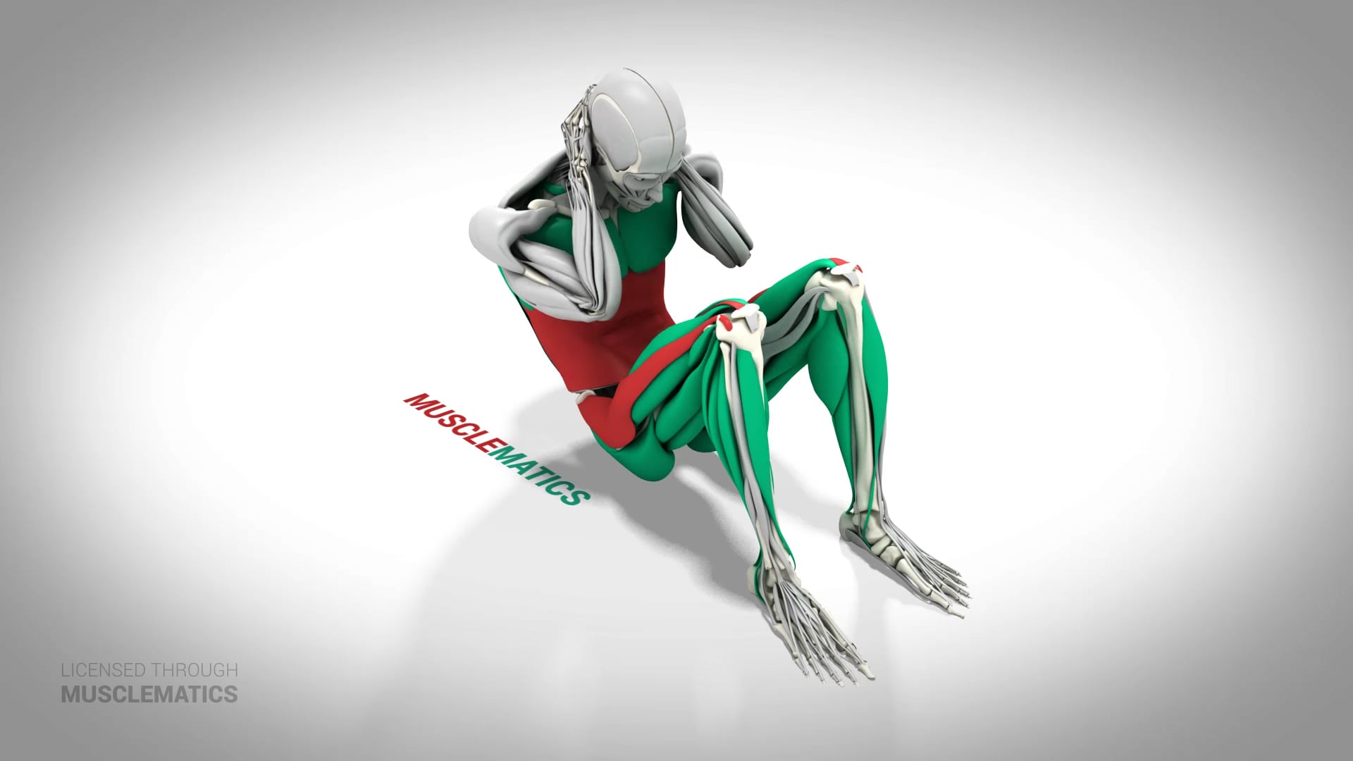 Sit-Ups - (All Views)