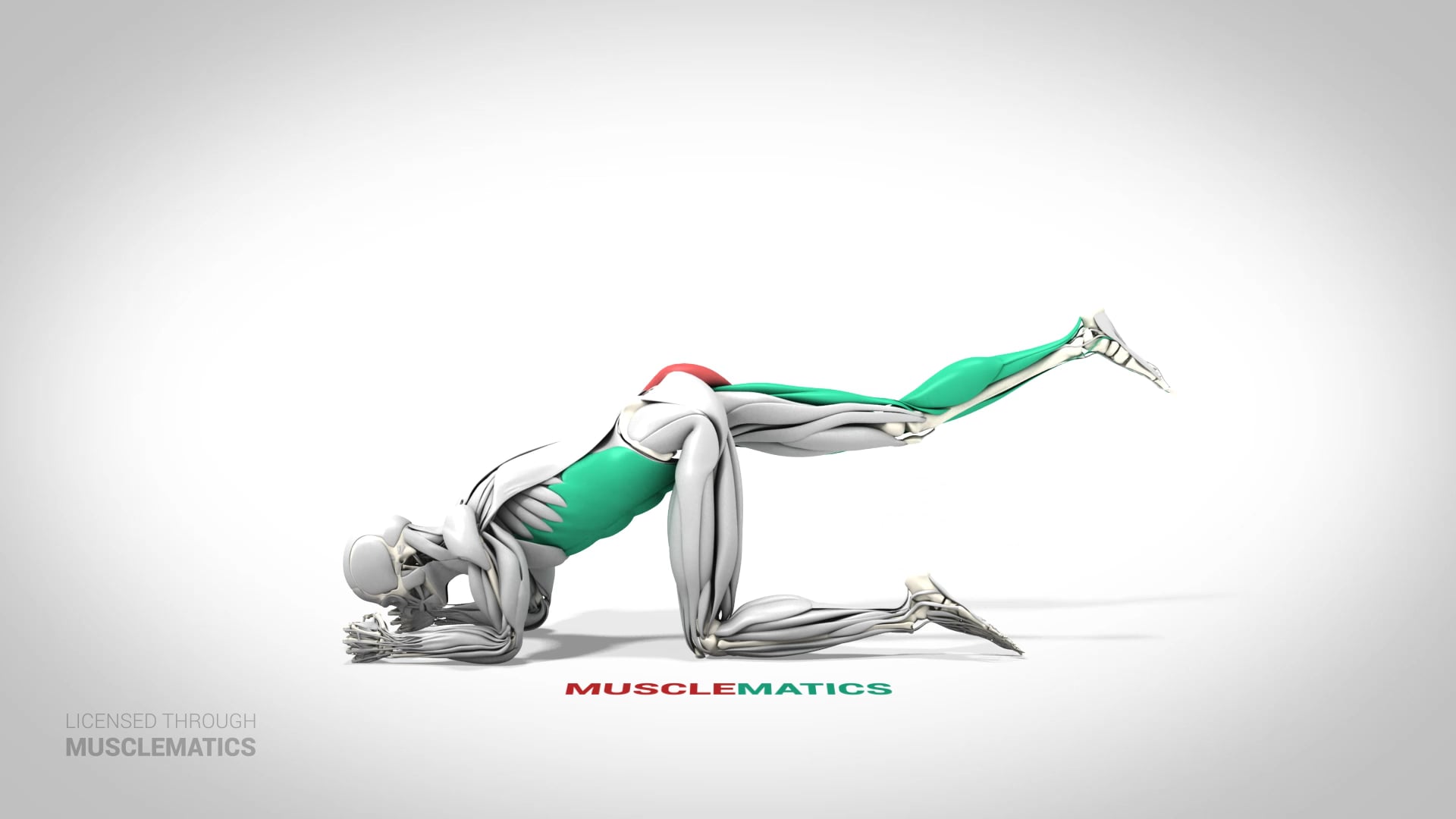 Floor Hip Extensions - (View 3)