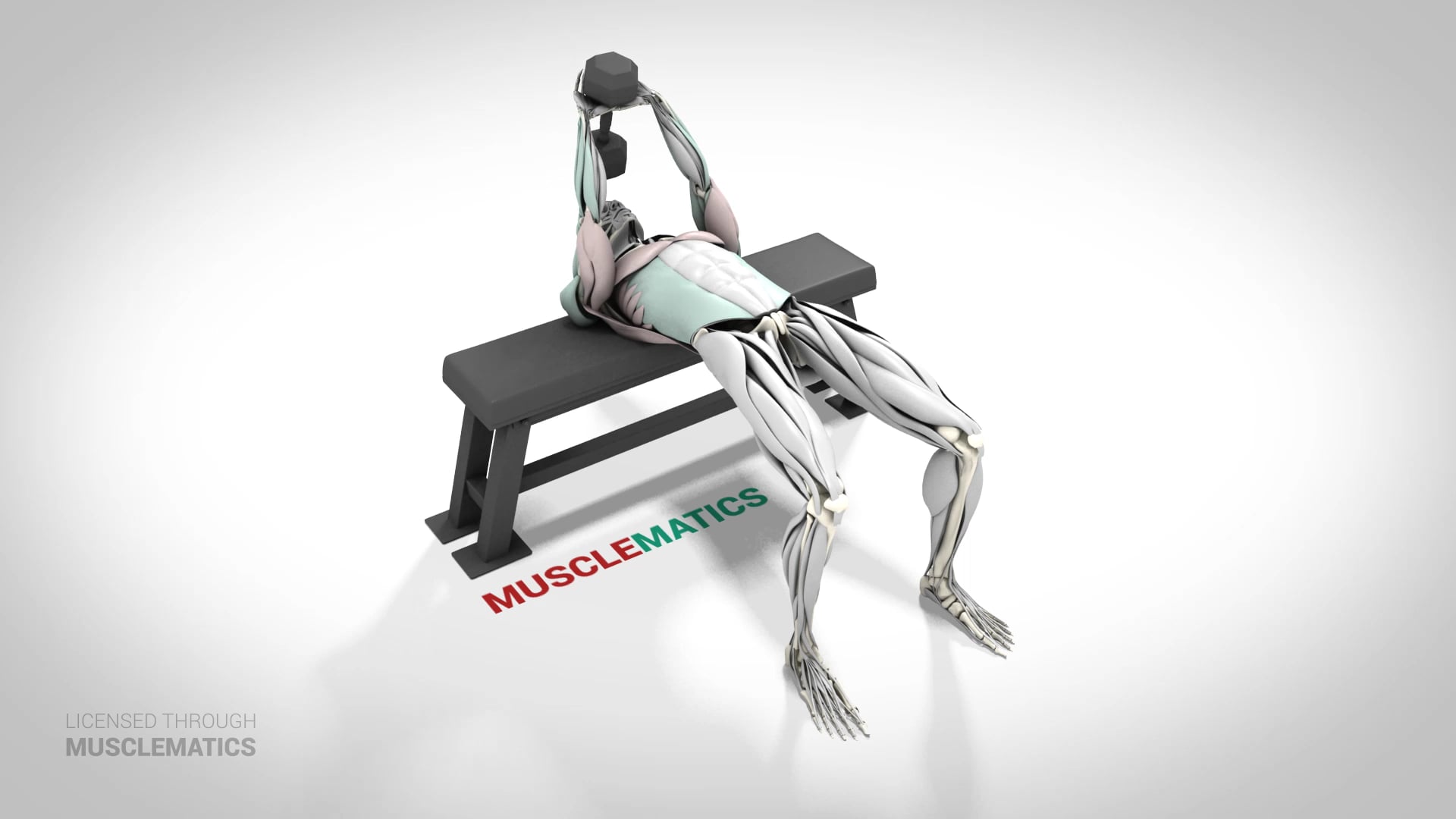 Dumbbell Pullovers - (View 1)