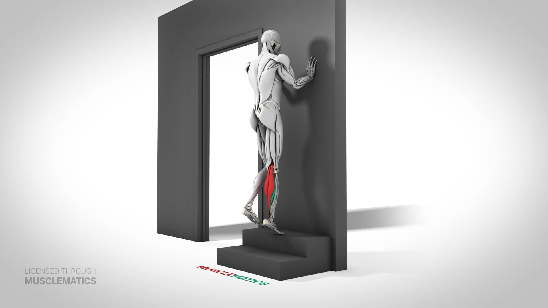 Single-Leg Elevated Calf Raise - (View 3)