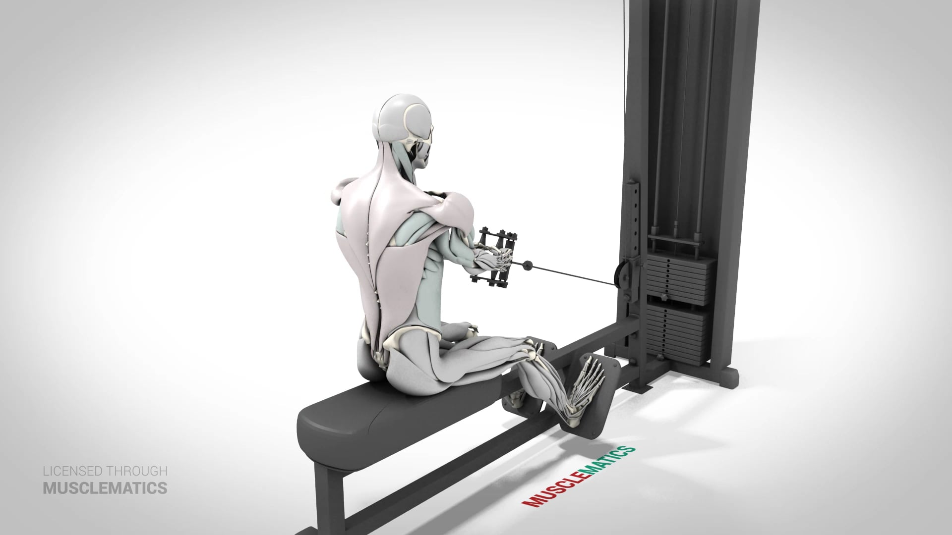 Seated Rows - (View 3)