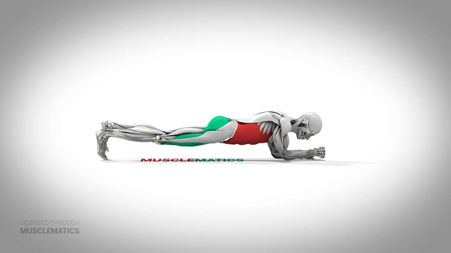 Rotating Two-Point Plank - (All Views)