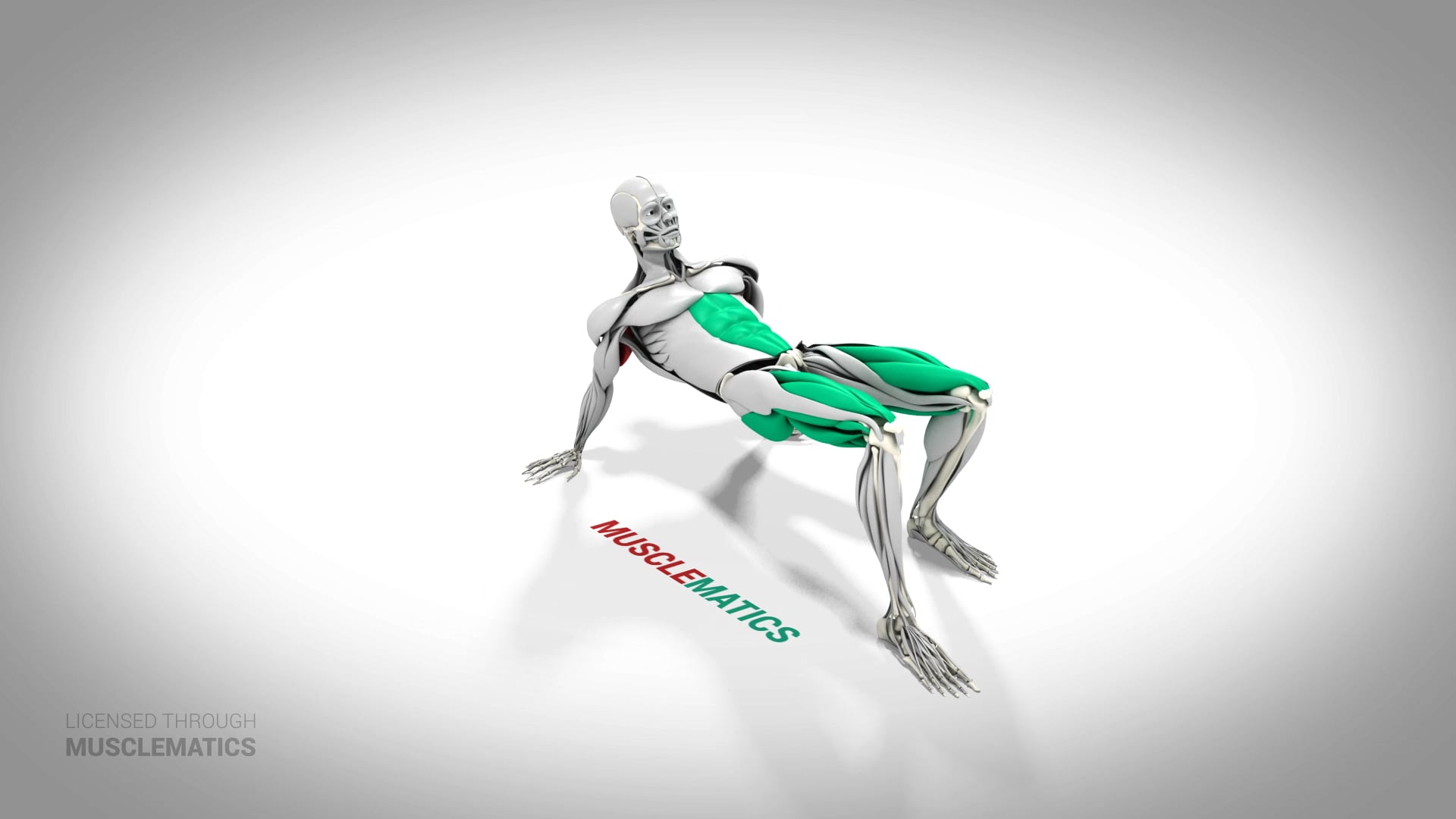 Crab Walk - (All Views)