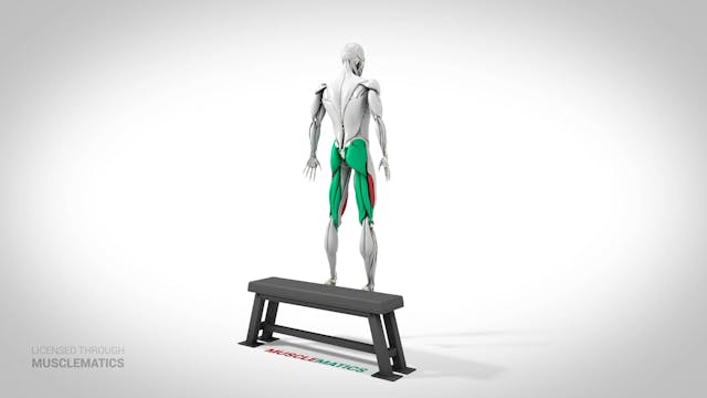 Jump Box Squat - (View 3)