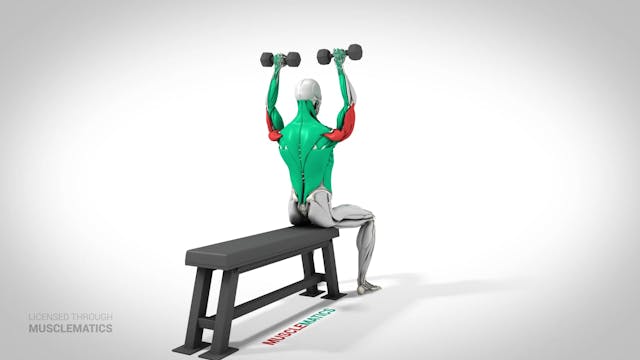 Front Dumbbell Presses - (View 3)