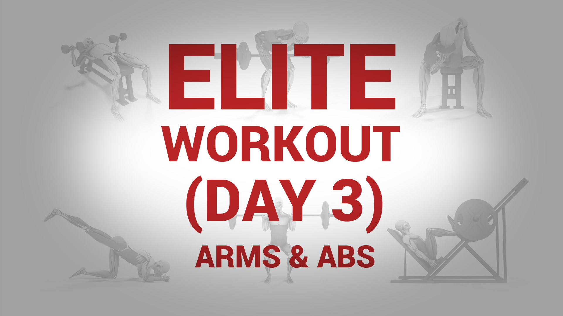 Elite Workout (Day 3) - ARMS & ABS