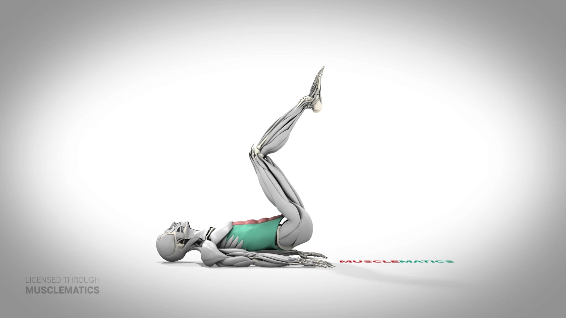 Reverse Crunch - (All Views)