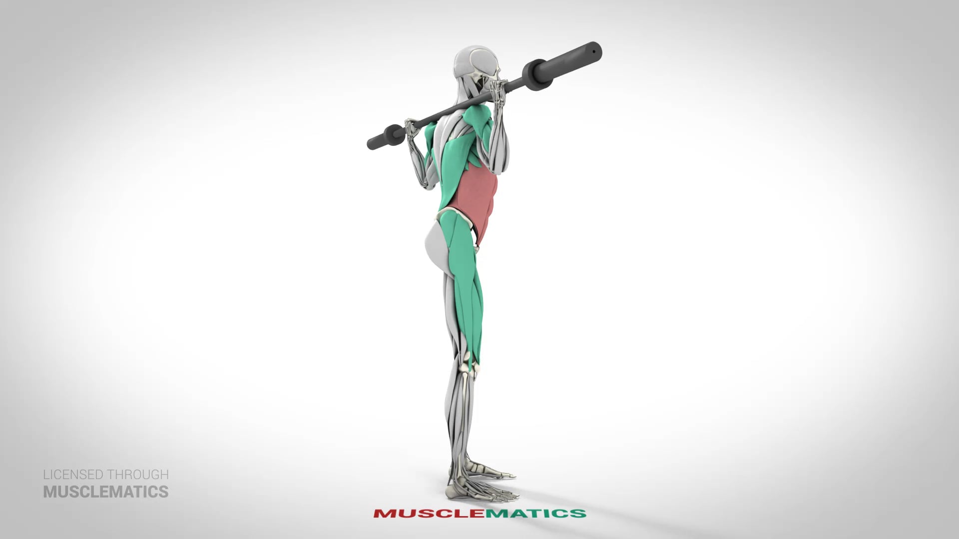 Broomstick Twists - (View 3)