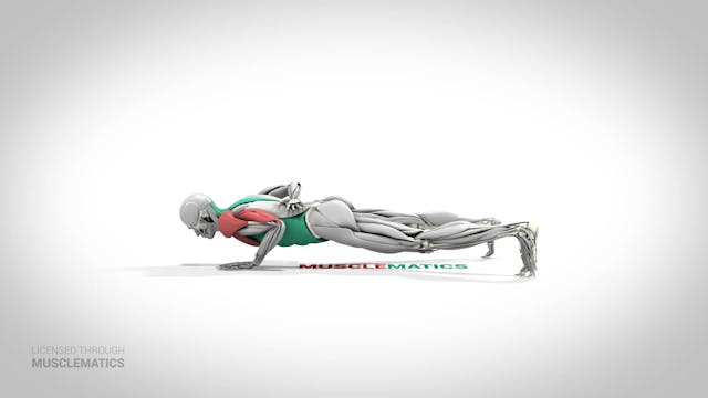 One-Arm Push-Up - (View 2) - LEFT