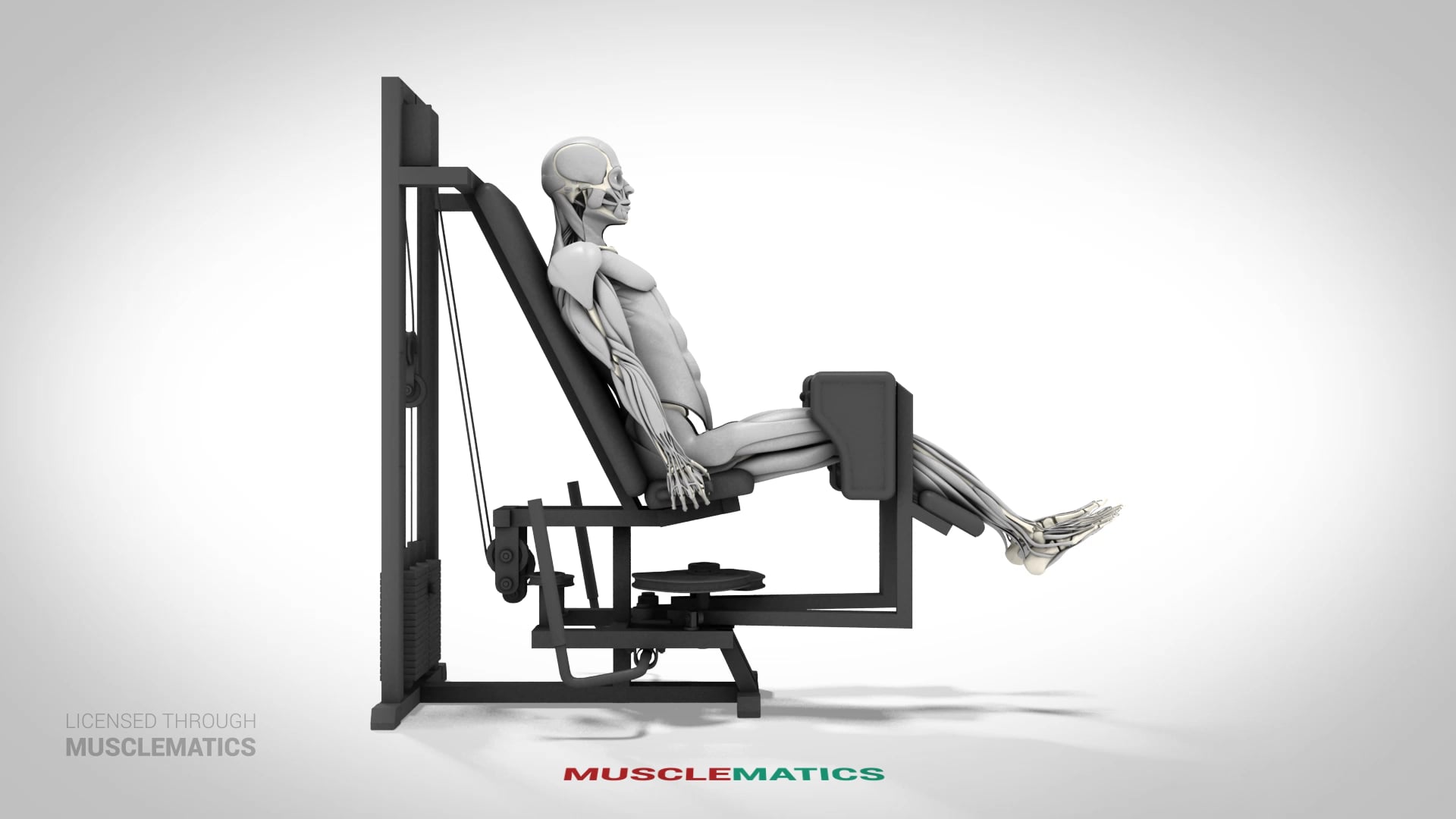 Seated Machine Hip Abductions - (View 2)
