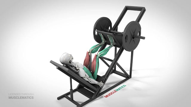 Angled Leg Presses - (View 3)