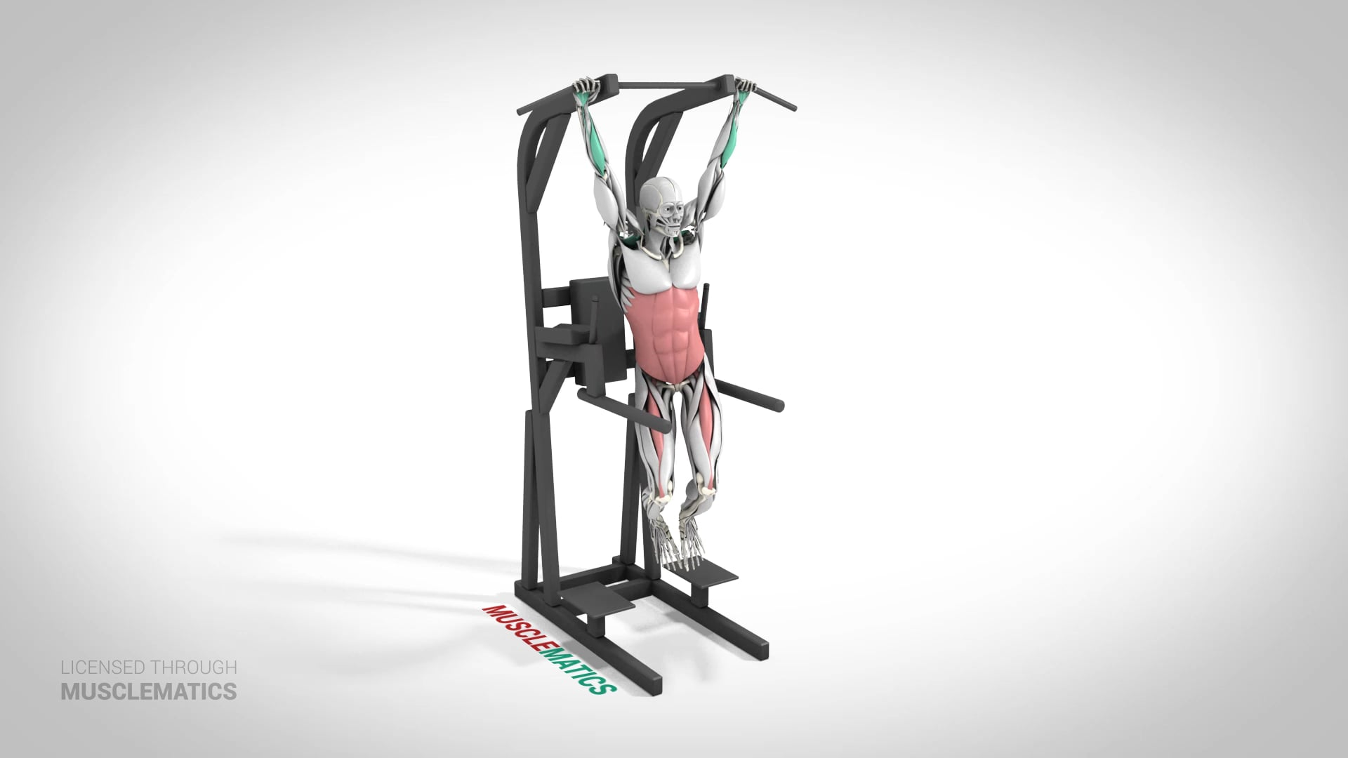 Oblique Hanging Leg Raise - (View 3) - LEFT