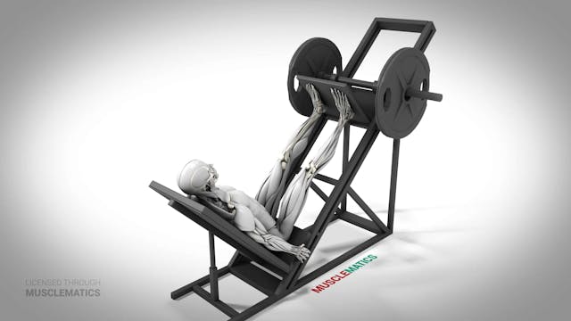 Angled Leg Presses - (All Views)