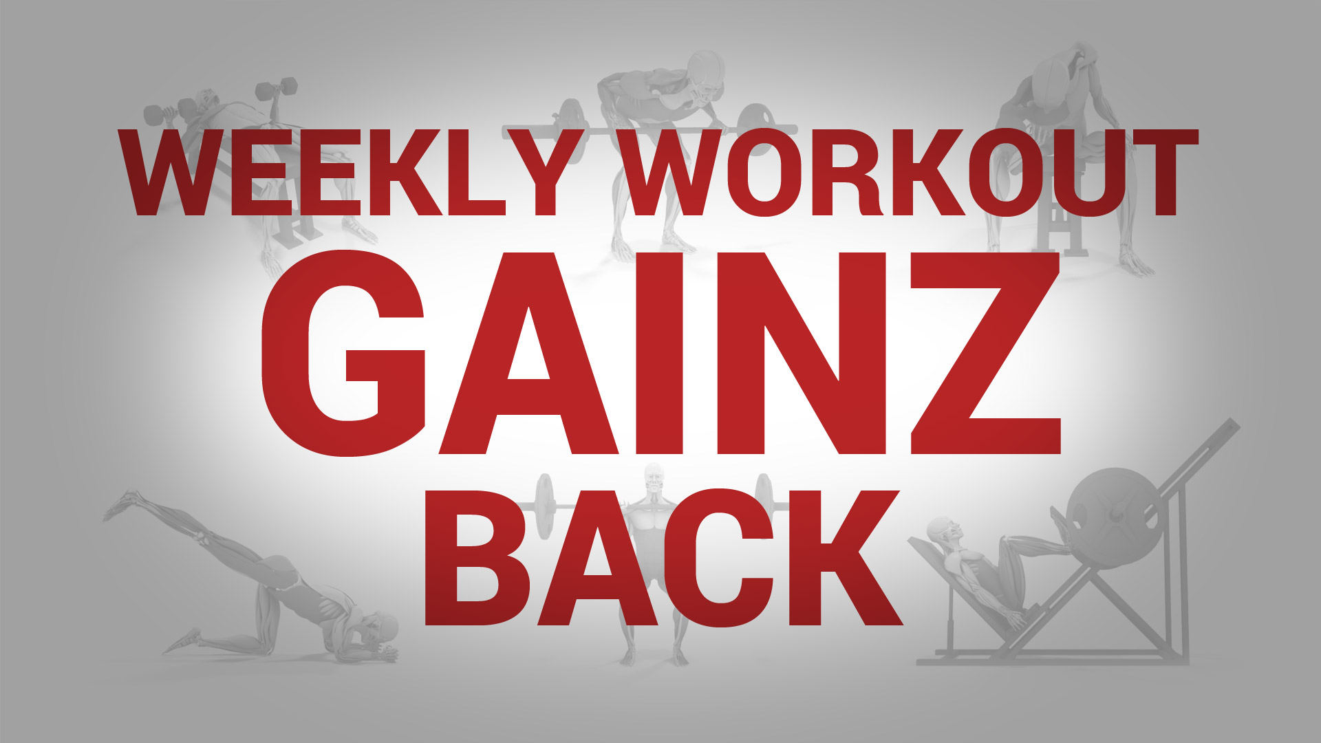 Weekly Workout Gainz - BACK