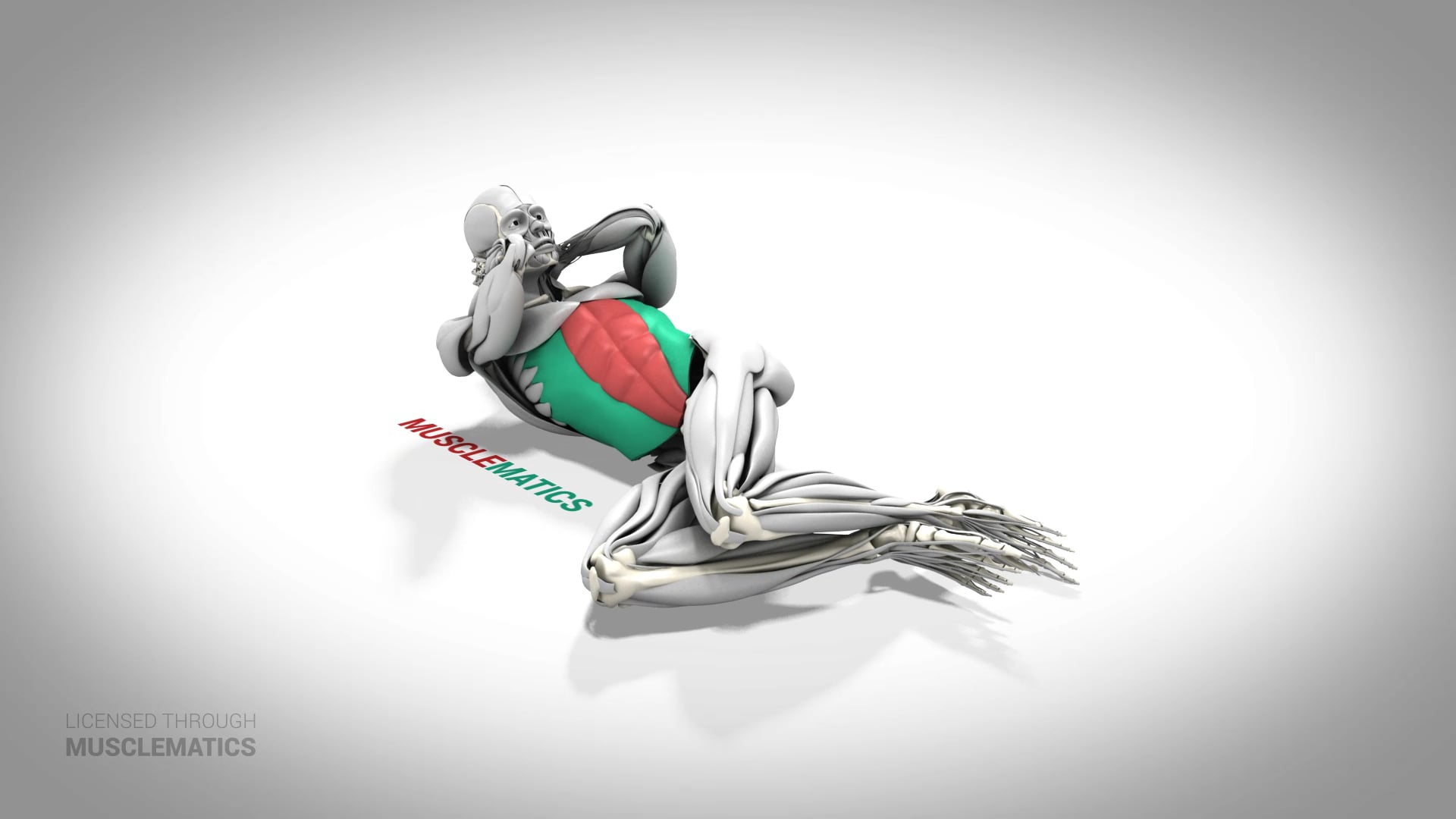 Side Crunch - (All Views) - LEFT