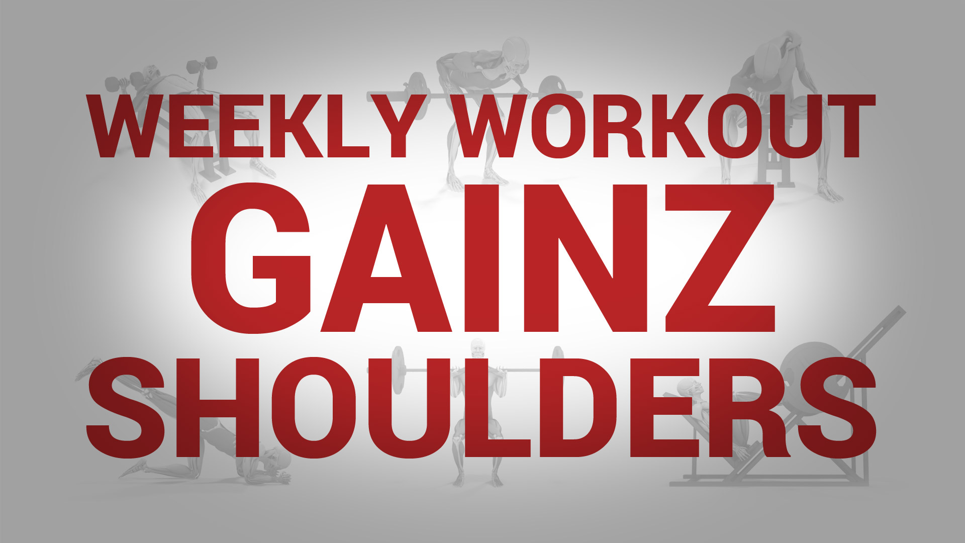 Weekly Workout Gainz - SHOULDERS