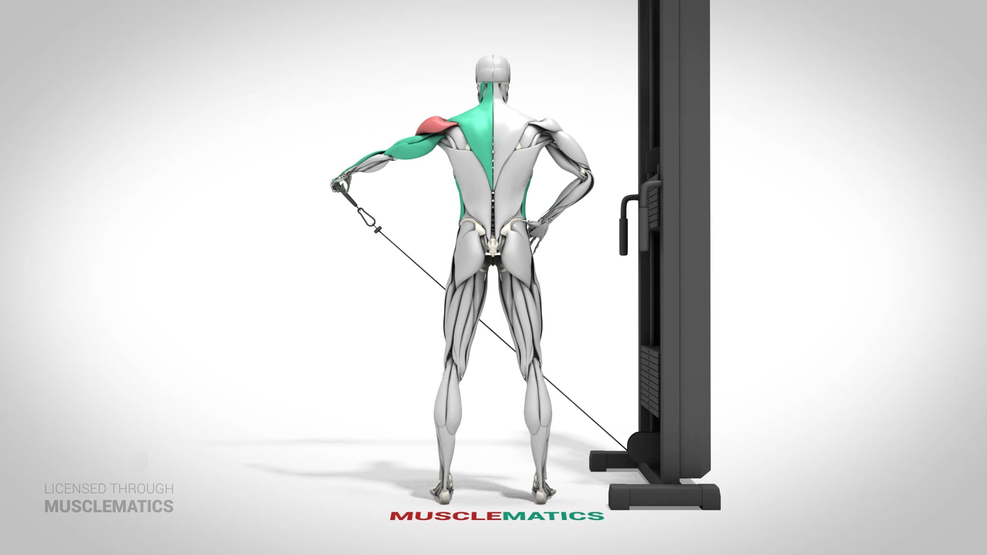 Low-Pulley Lateral Raises - (View 2) - LEFT