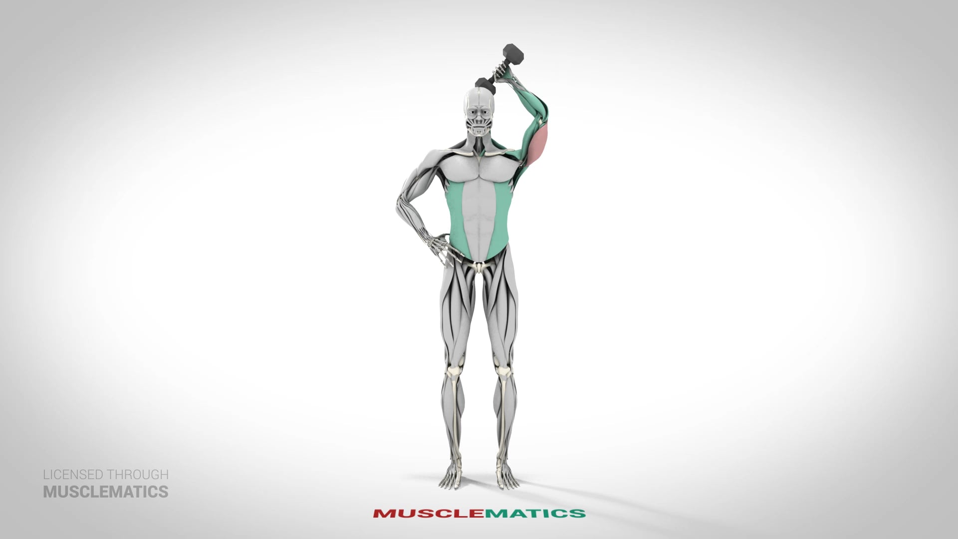 One-Arm Dumbbell Triceps Extensions - (View 1) - LEFT