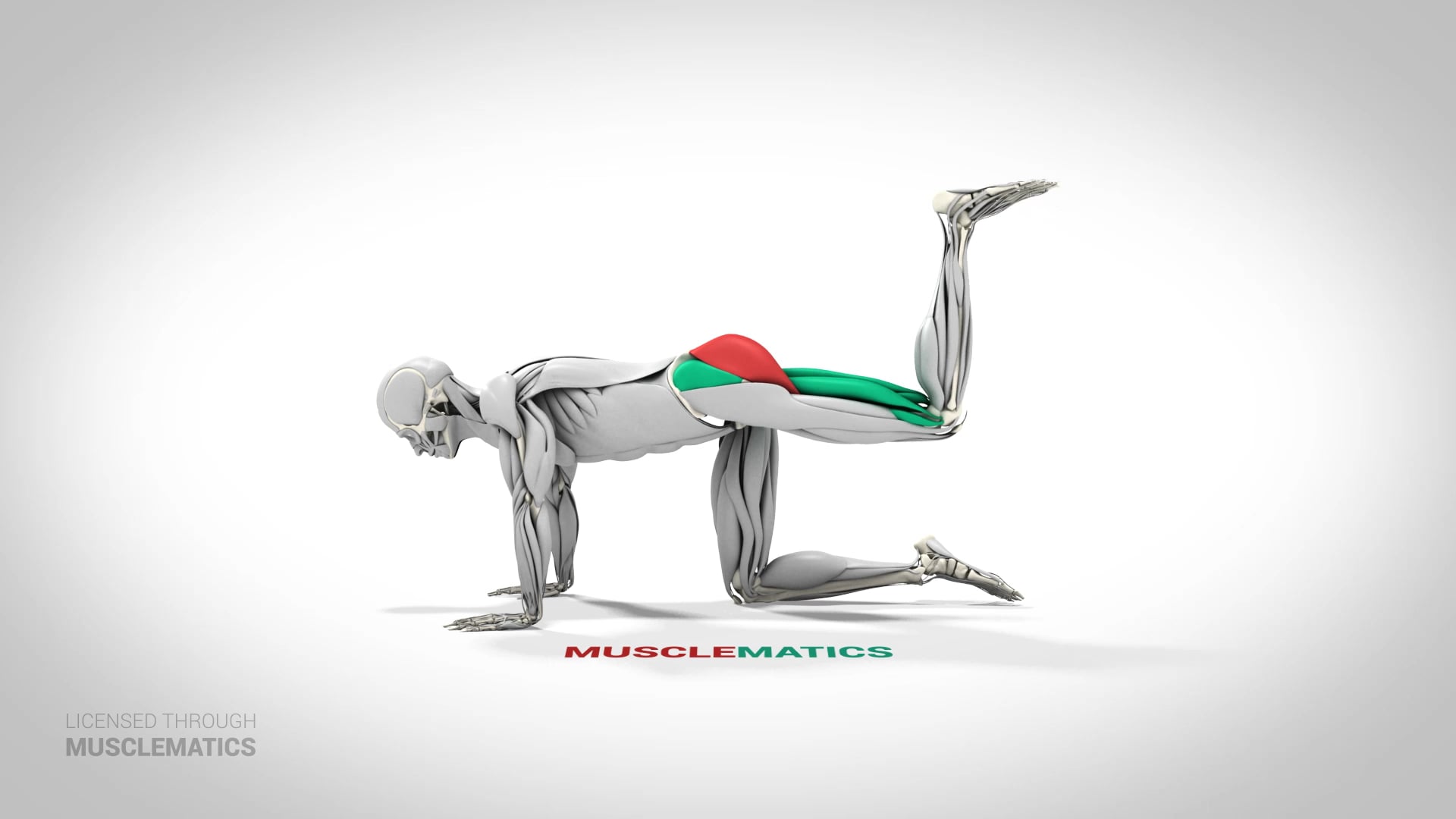 Kneeling Bent-Leg Donkey Kick - (View 1) - LEFT