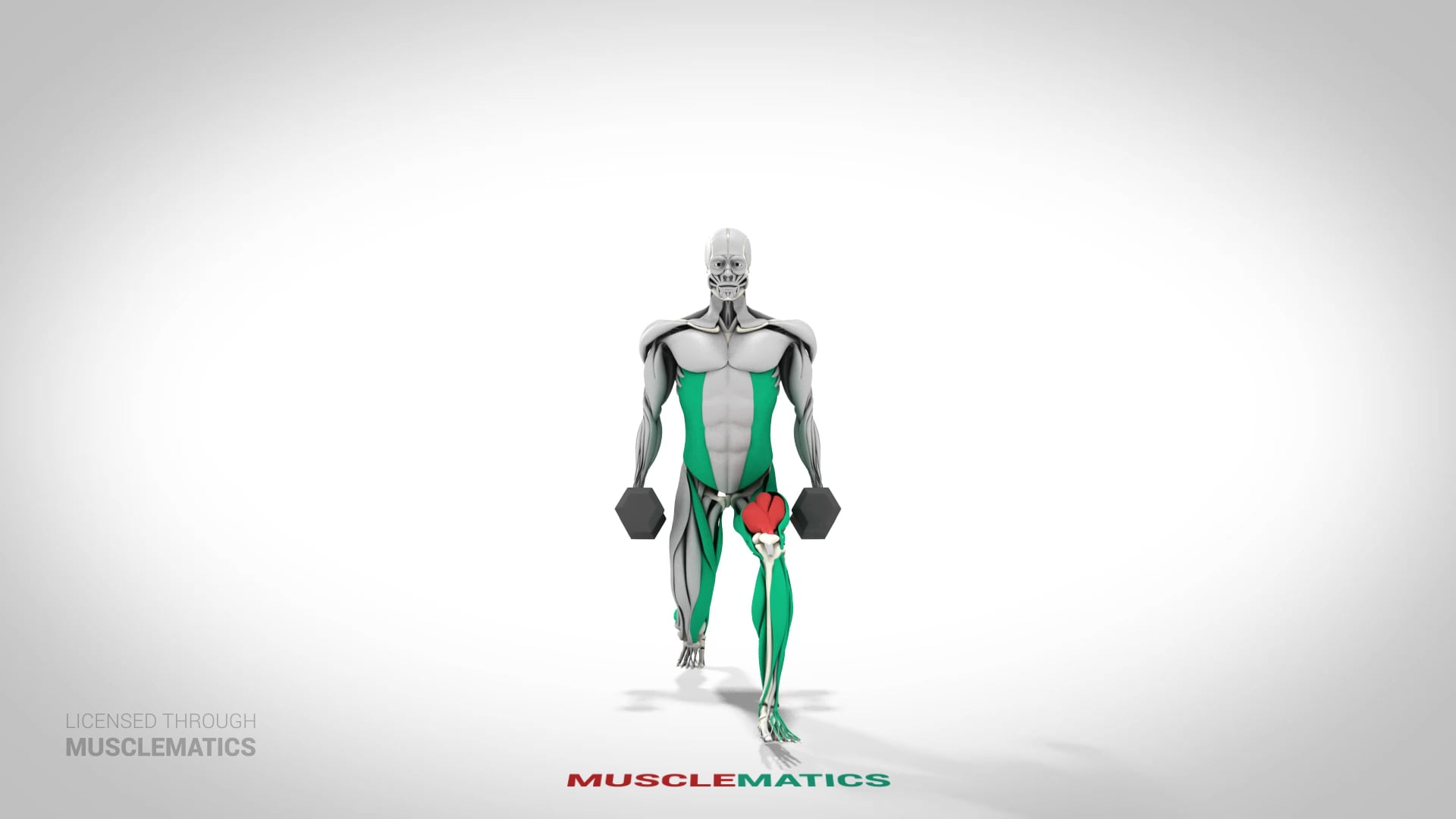 Dumbbell Lunges - (View 1) - LEFT