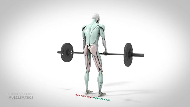 Stiff-Legged Deadlifts - (View 3)