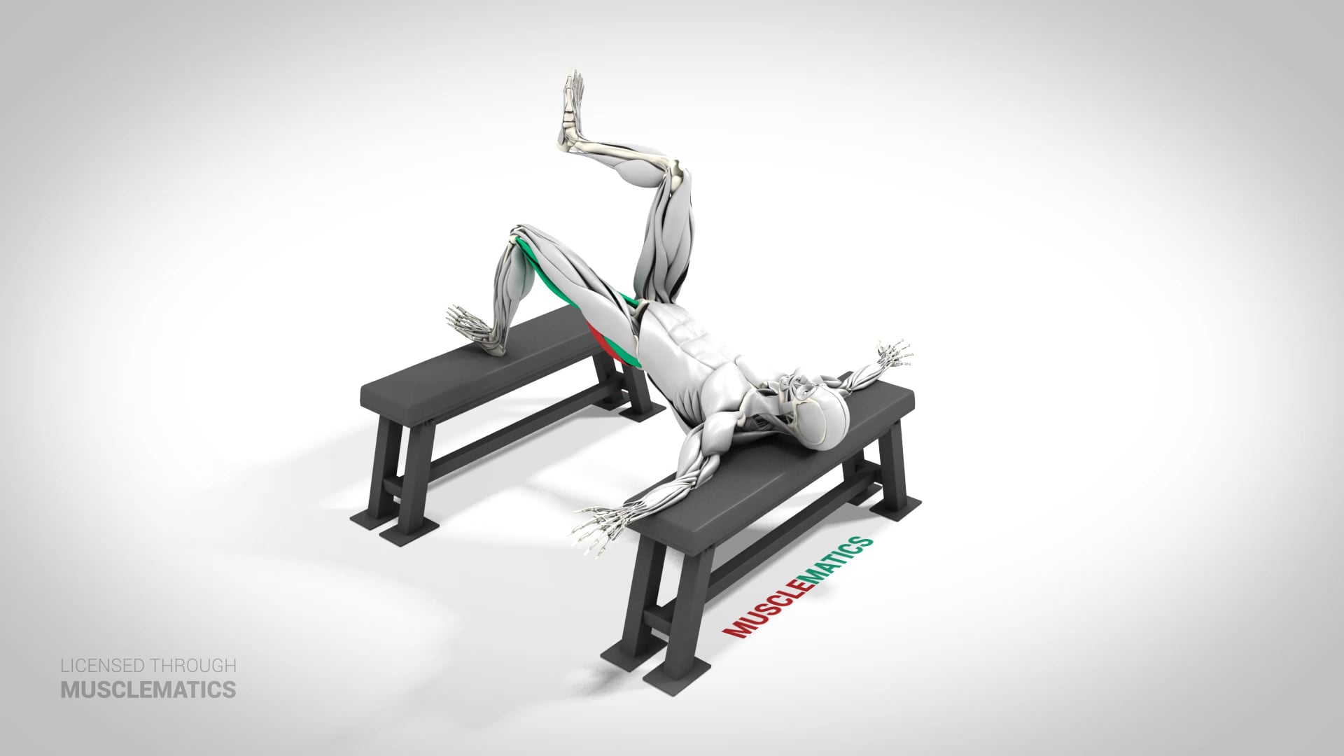 Single-Leg Elevated Hip Thrust - (View 2) - LEFT