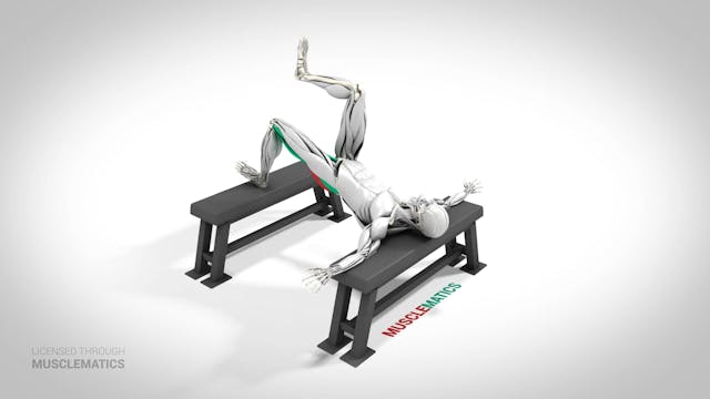 Single-Leg Elevated Hip Thrust - (Vie...