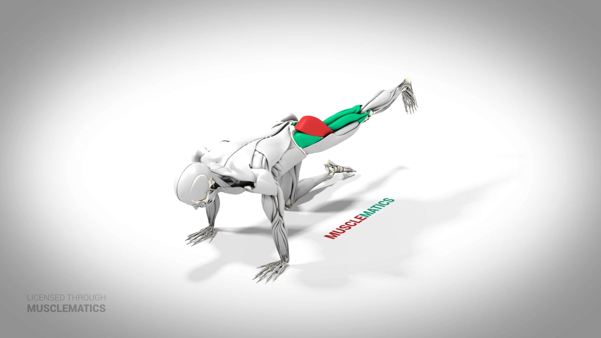 Kneeling Donkey Kick - (All Views) - LEFT