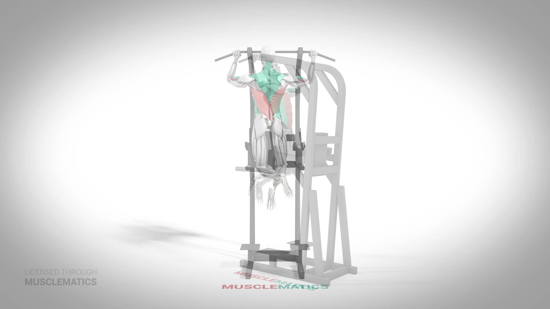 Sliding Side-To-Side Pull-Up - (All Views) - LEFT