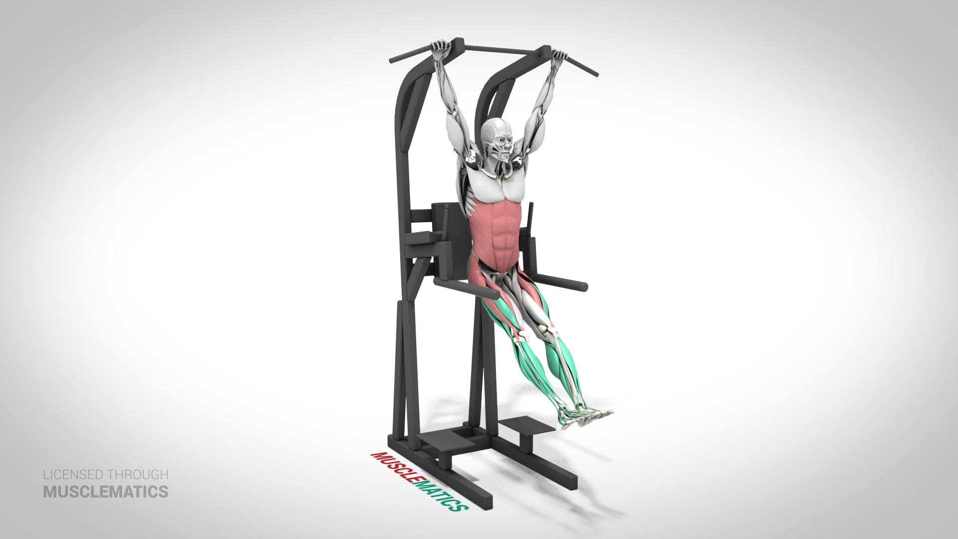 Hanging Leg Raises (Straight Leg) - (View 2)