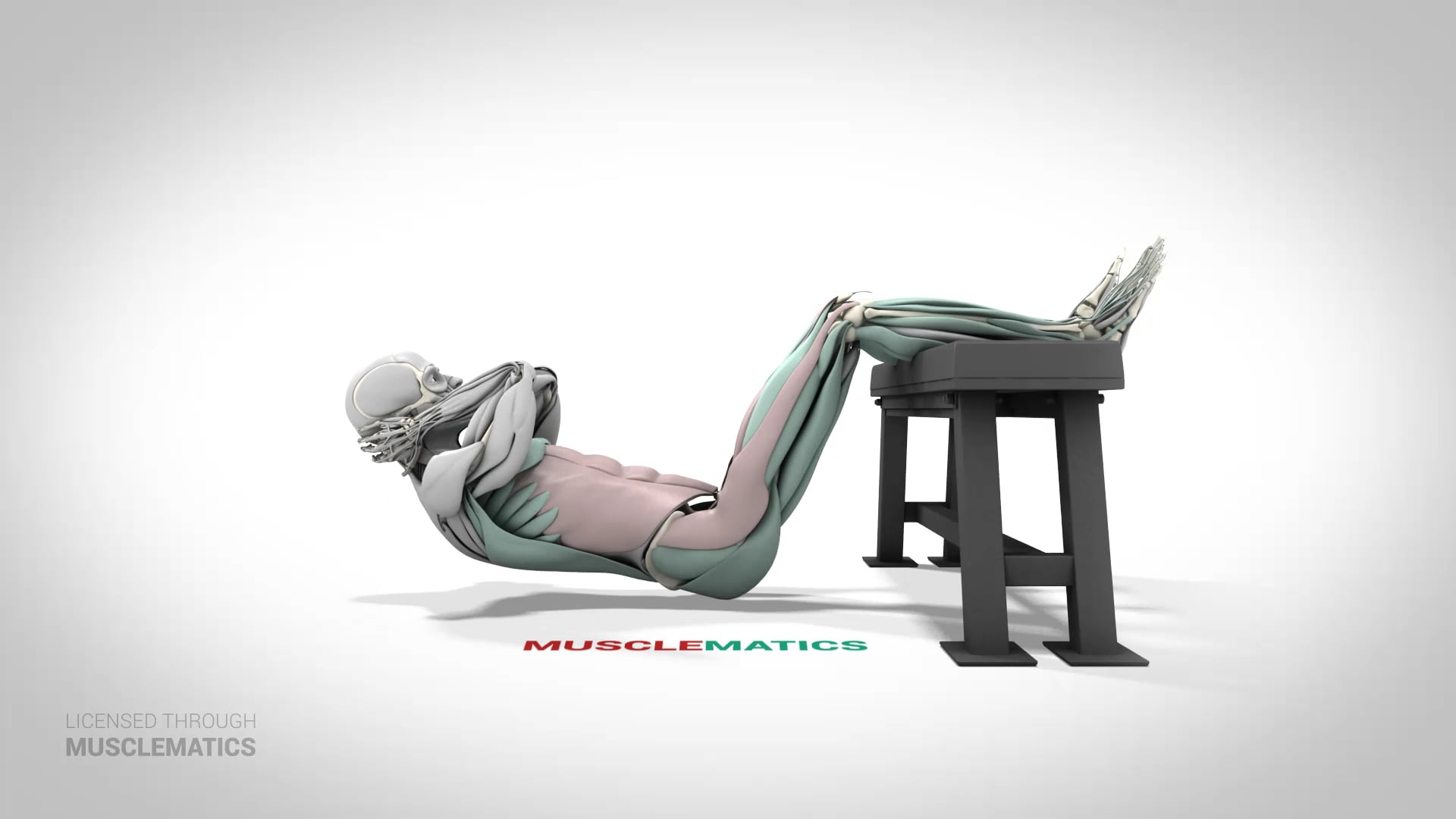 Calves Over Bench Sit-Ups - (View 2)